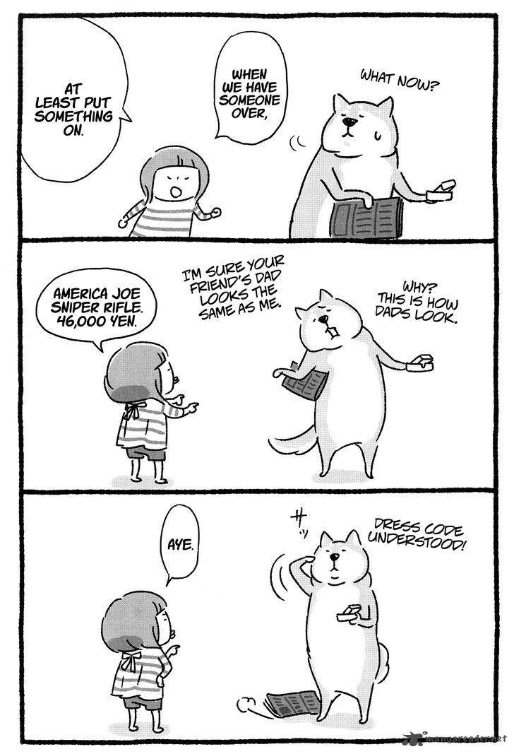 Shiba Occhan 8 5