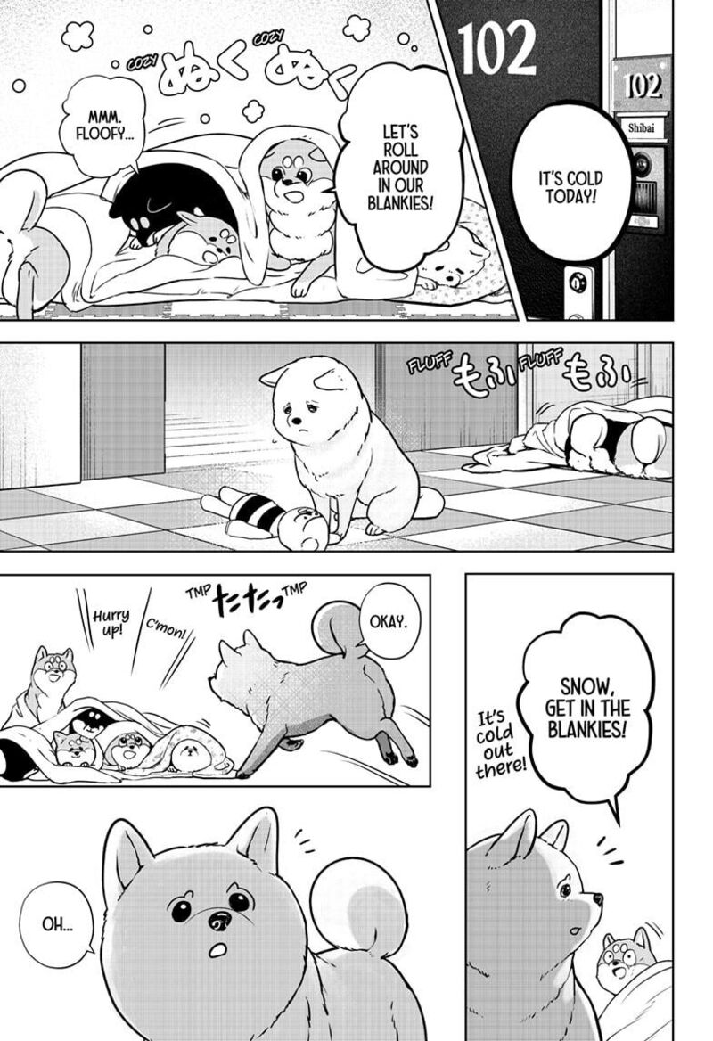 Shiba Tsuki Bukken 10 19