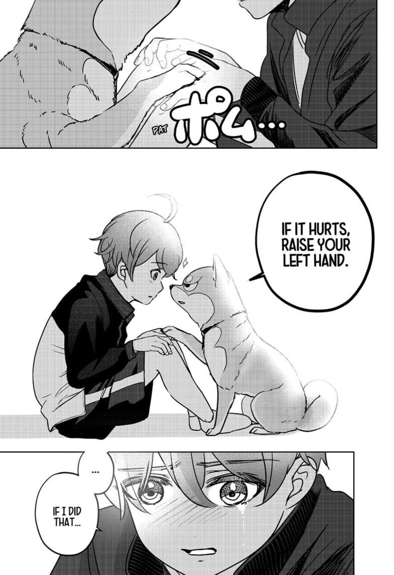 Shiba Tsuki Bukken 28 17
