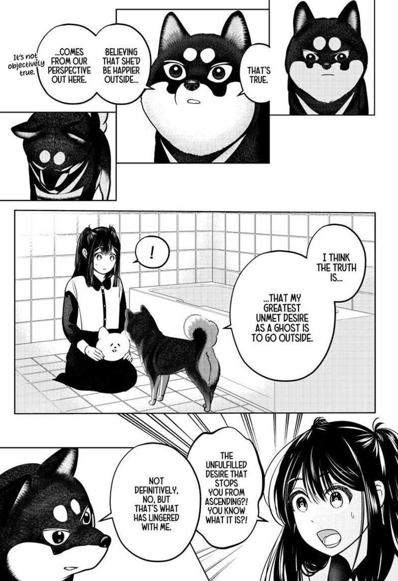Shiba Tsuki Bukken 30 19