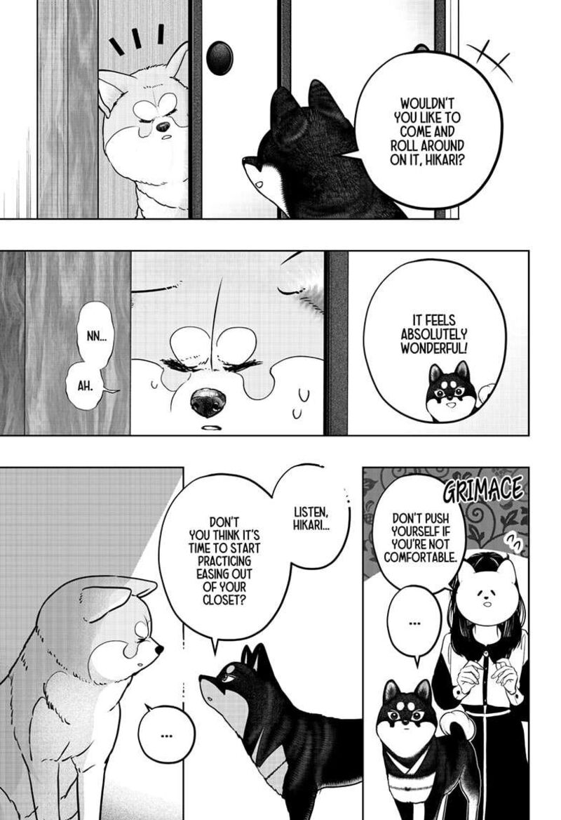 Shiba Tsuki Bukken 30 7