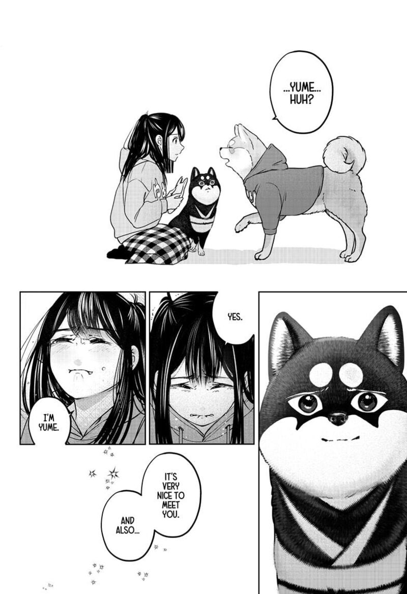 Shiba Tsuki Bukken 40 32