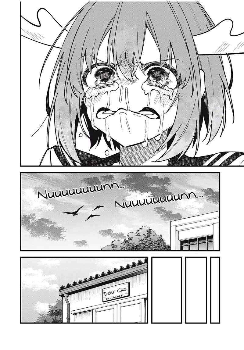 Shikanoko Nokonoko Koshitantan 46 14