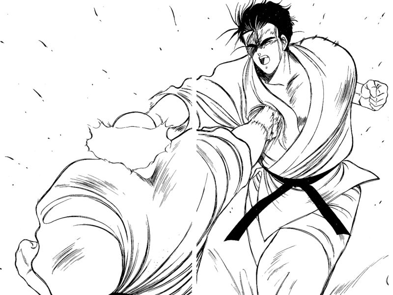 Shura No Mon Iden Fudekage 32 46