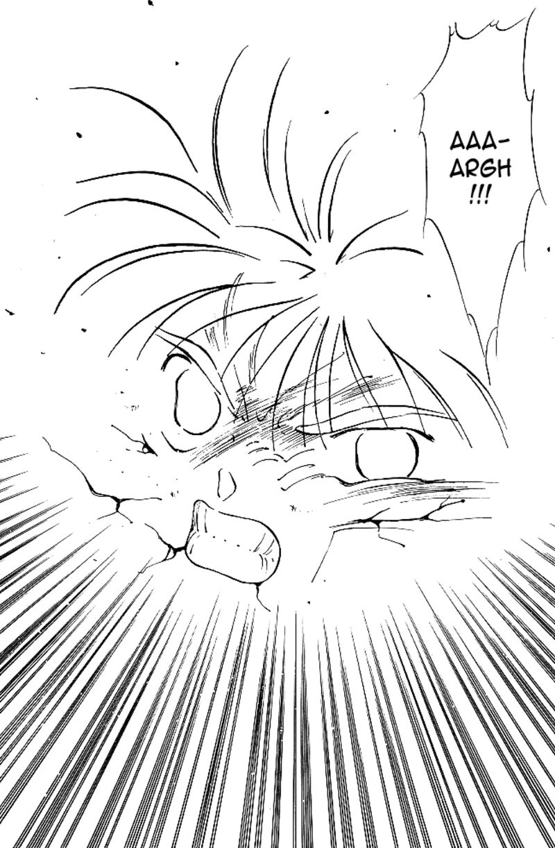 Shura No Mon Iden Fudekage 39 29