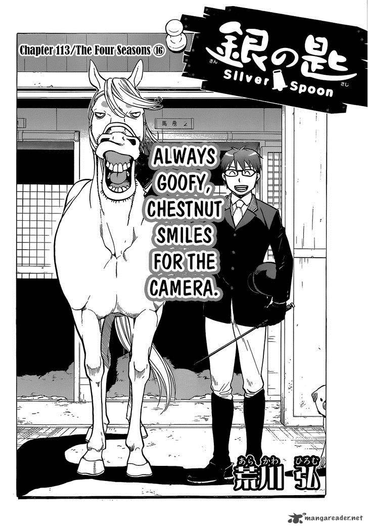 Silver Spoon 113 3