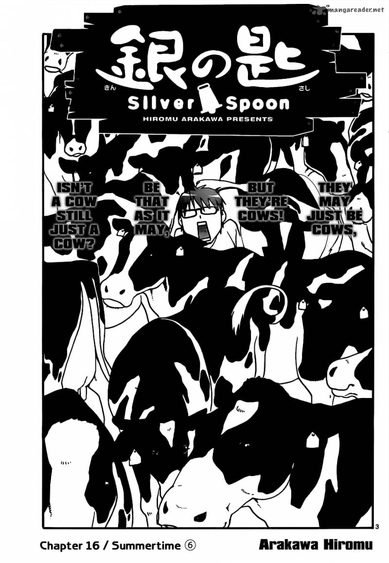 Silver Spoon 16 4