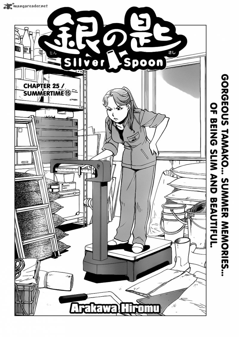 Silver Spoon 25 5