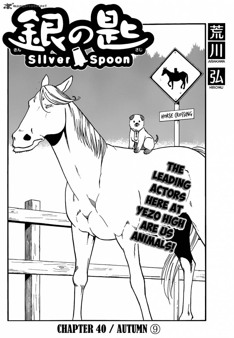 Silver Spoon 40 5