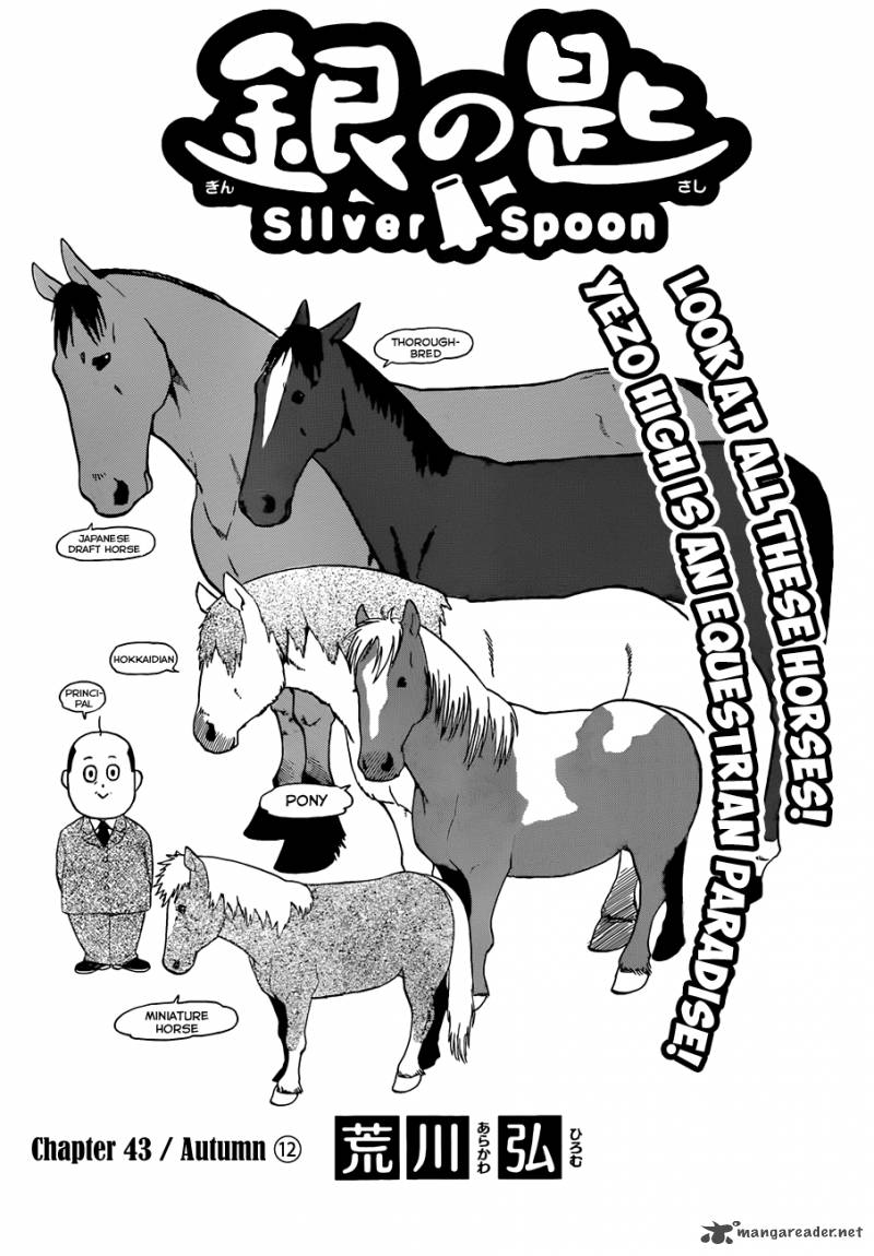 Silver Spoon 43 4