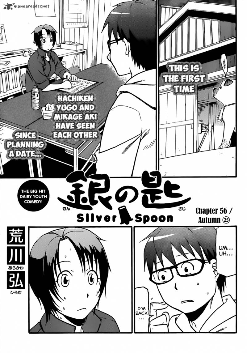 Silver Spoon 56 2