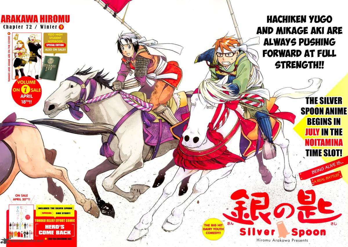 Silver Spoon 72 3