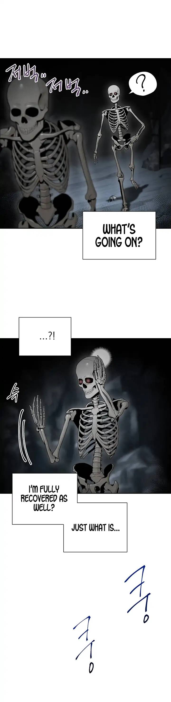 Skeleton Soldier Couldnt Protect The Dungeon 47 10
