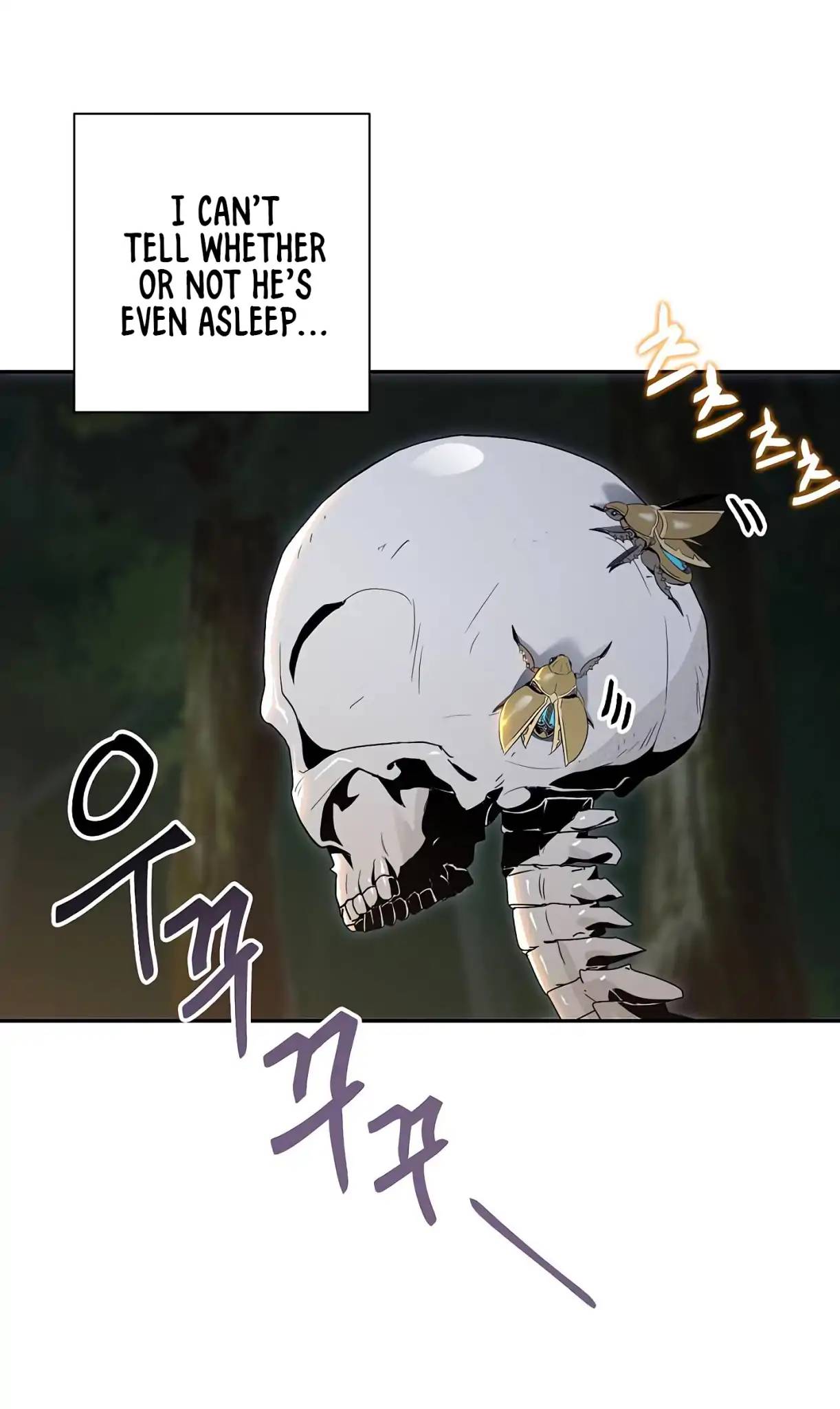 Skeleton Soldier Couldnt Protect The Dungeon 60 19