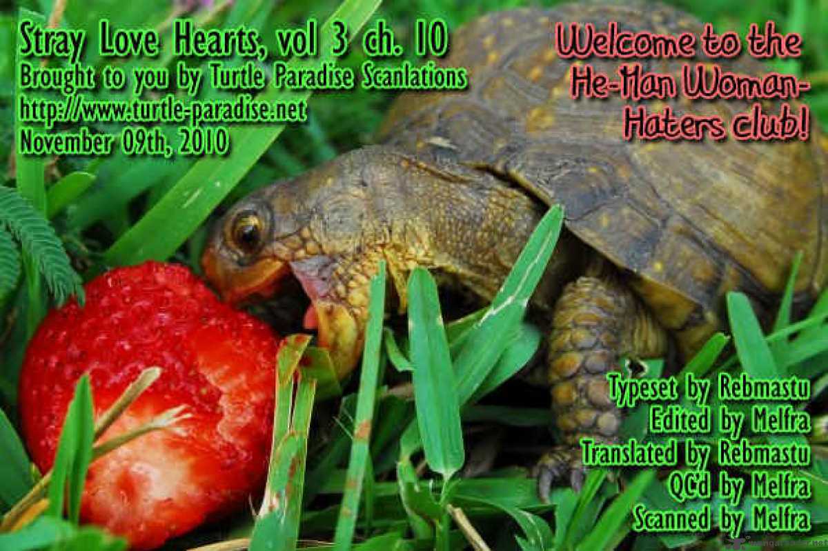Slh Stray Love Hearts 10 47