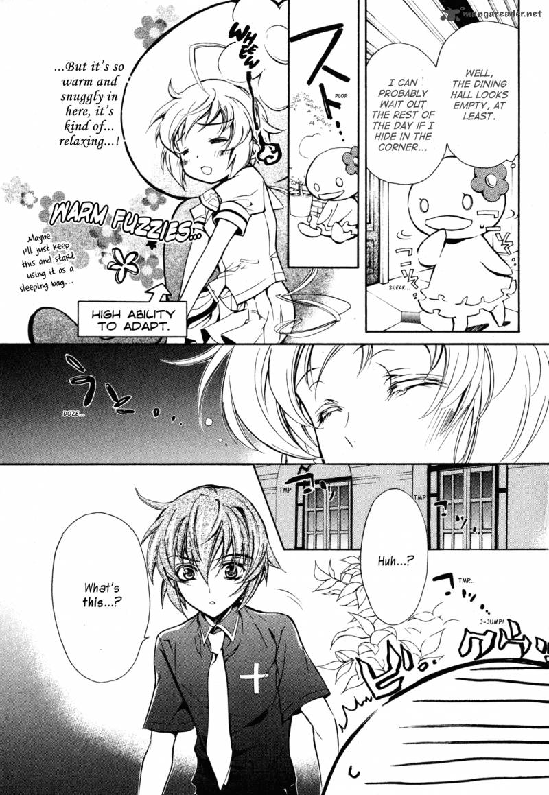 Slh Stray Love Hearts 12 19