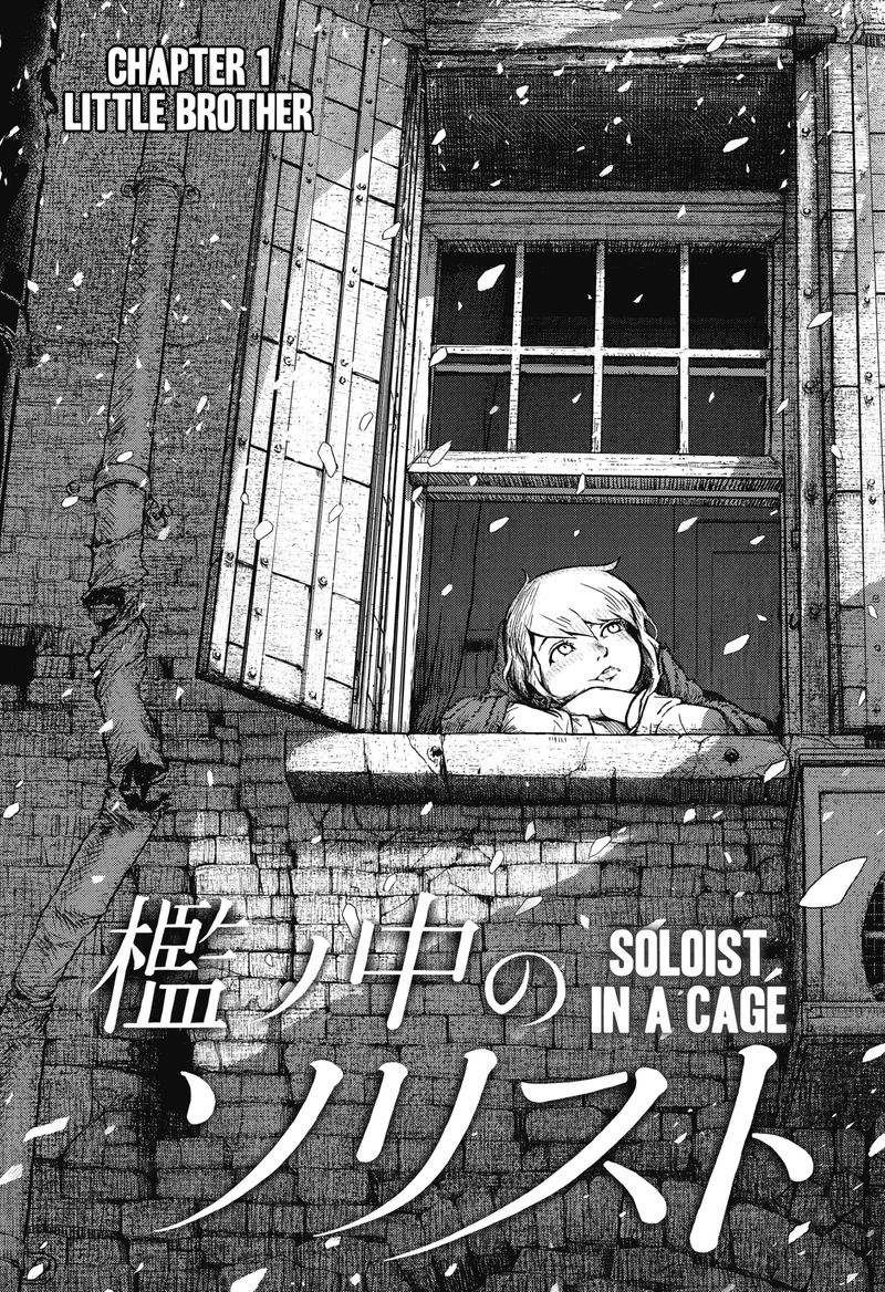 Soloist In A Cage 1 3
