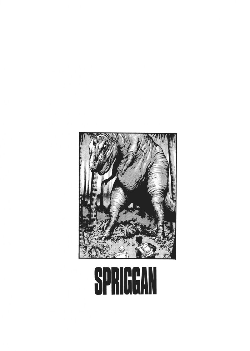 Spriggan 41 37