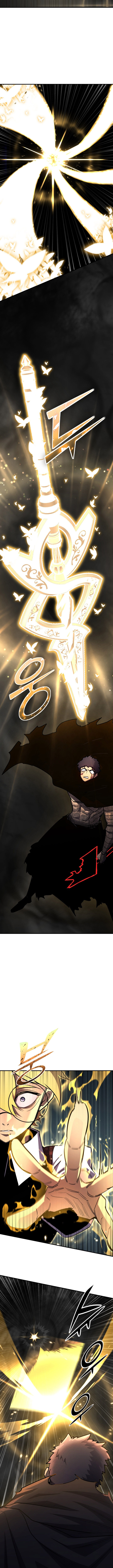 Standard Of Reincarnation 167 8