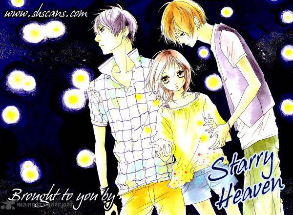 Stardust Wink 13 1