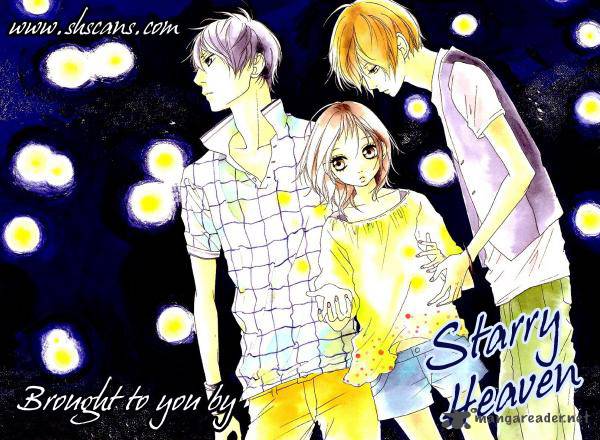 Stardust Wink 16 1