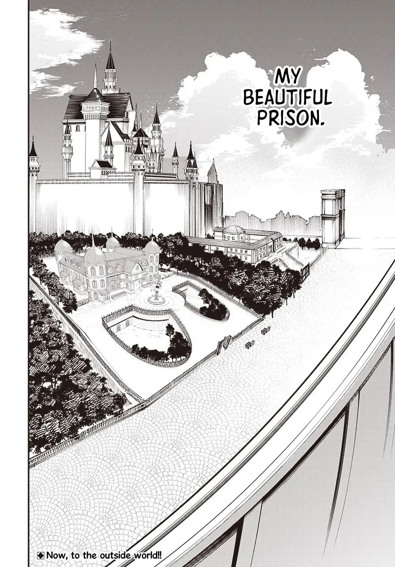 Tensei Arasaa Joshi No Kotoyo Kaikatsu 8 29