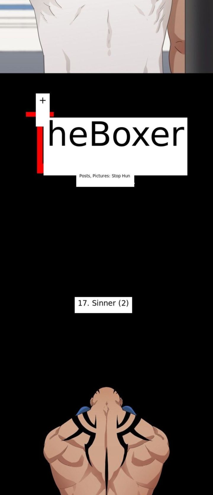 The Boxer 17 3