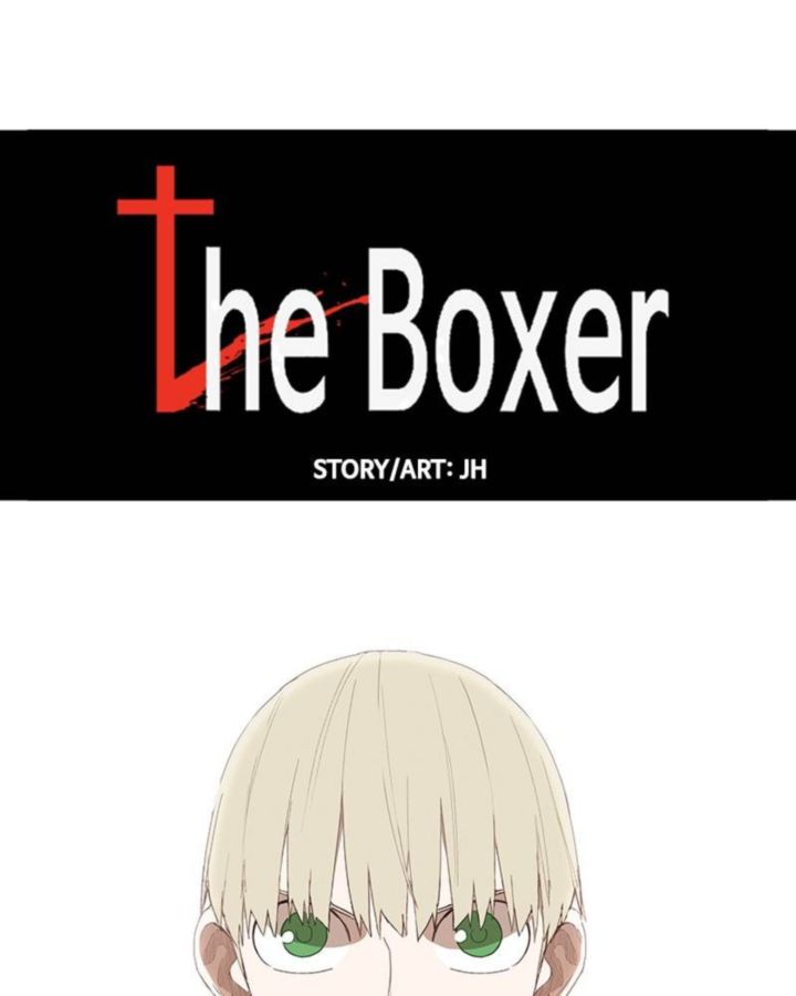 The Boxer 37 7
