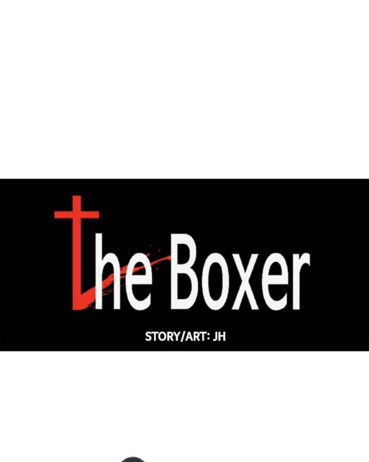 The Boxer 41 22