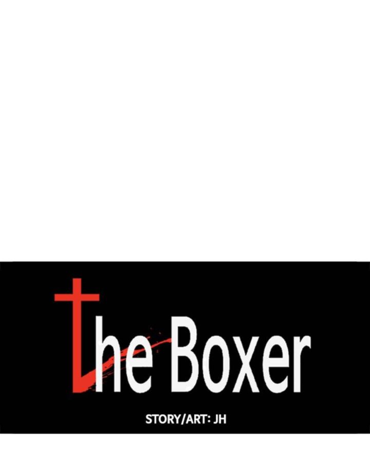 The Boxer 42 51