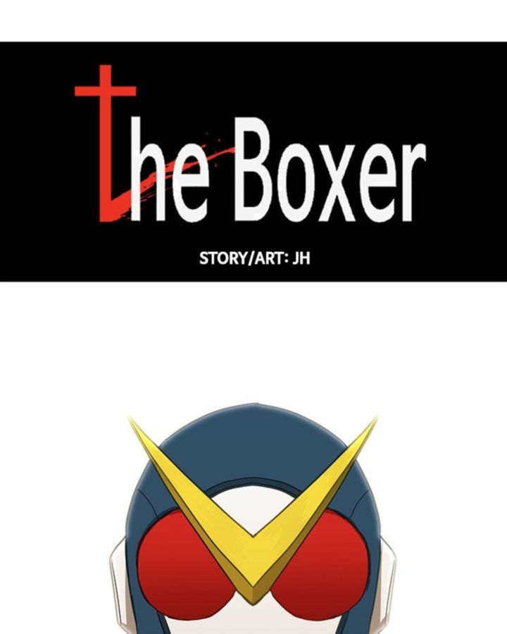 The Boxer 43 12