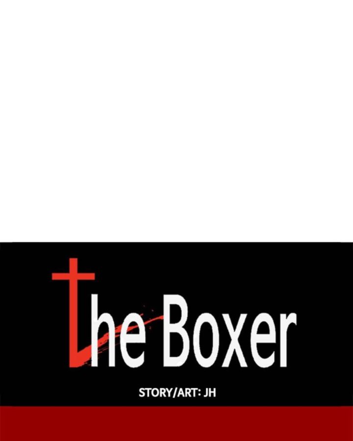 The Boxer 45 6