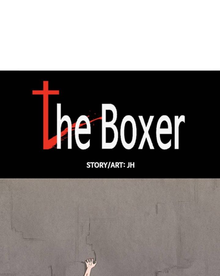 The Boxer 47 42