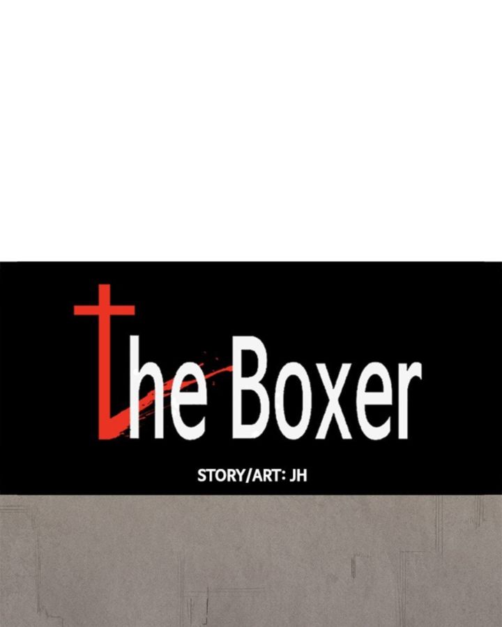 The Boxer 49 21