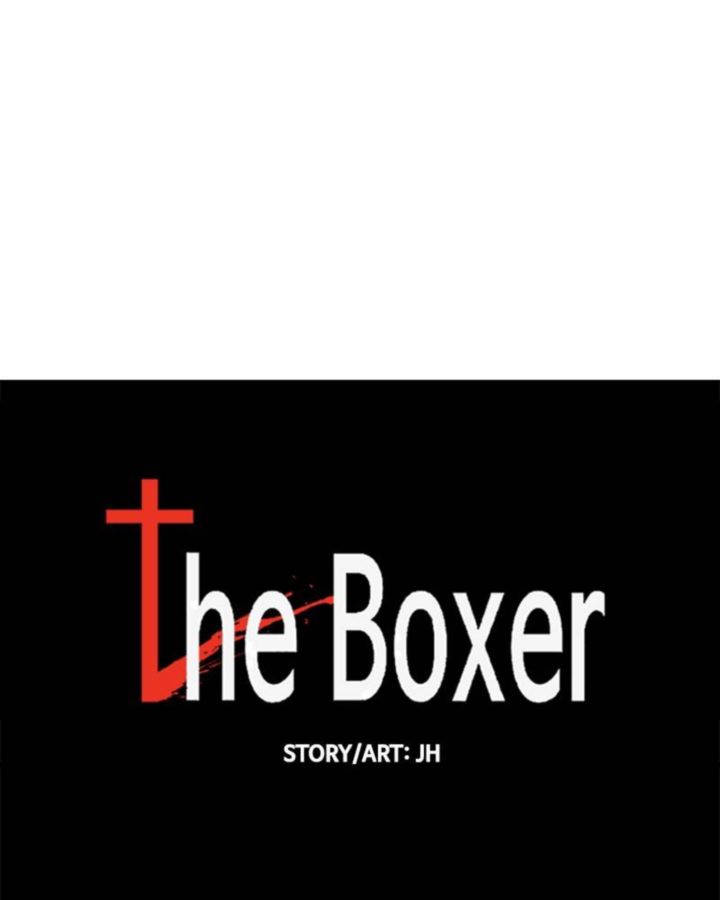 The Boxer 50 23