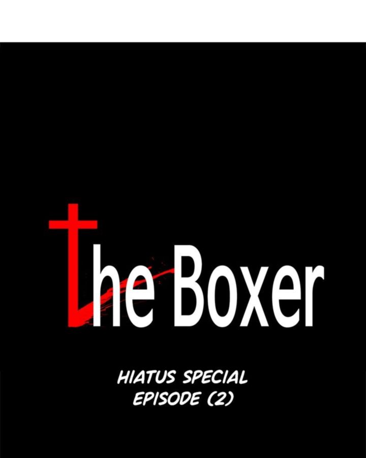 The Boxer 53 1