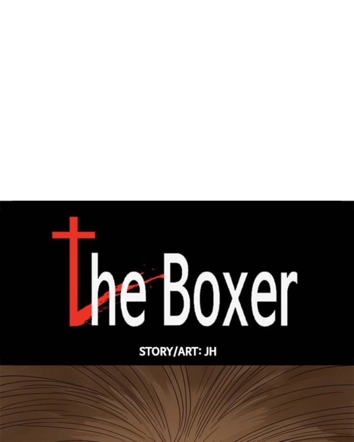The Boxer 66 38
