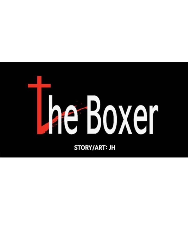 The Boxer 68 16