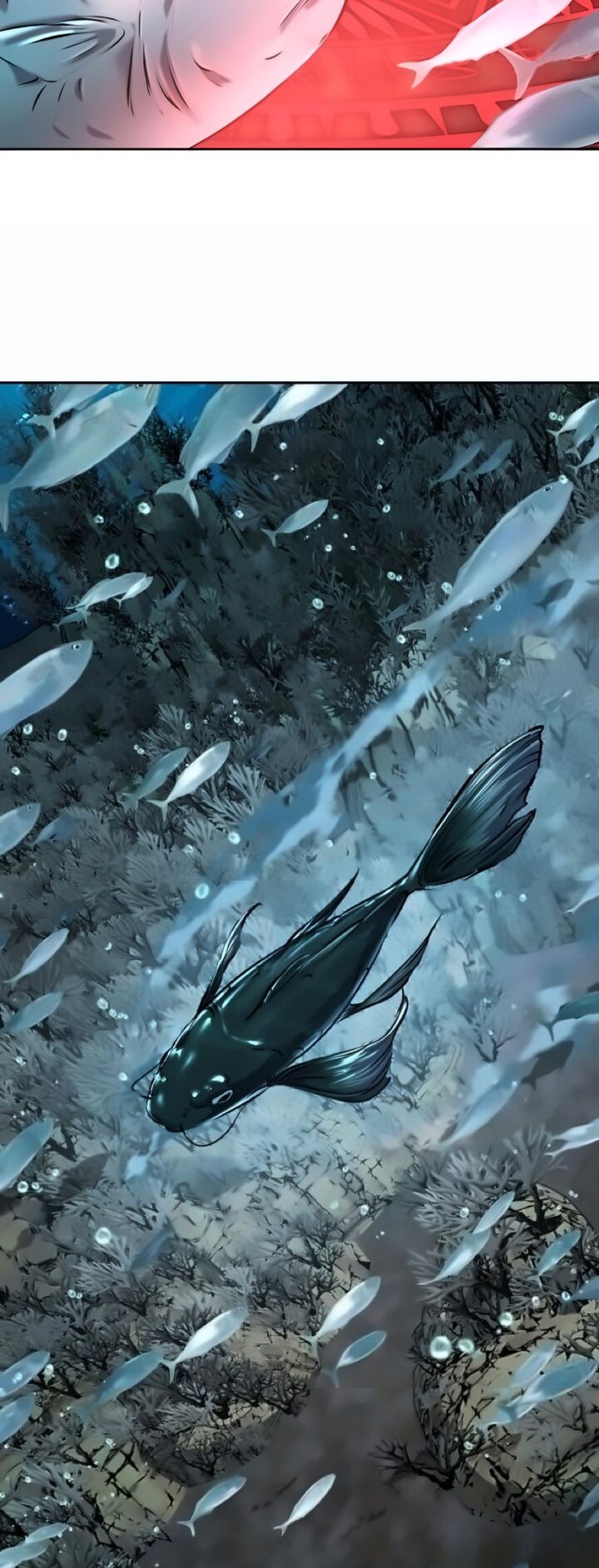 The Boy Of Death 296 115