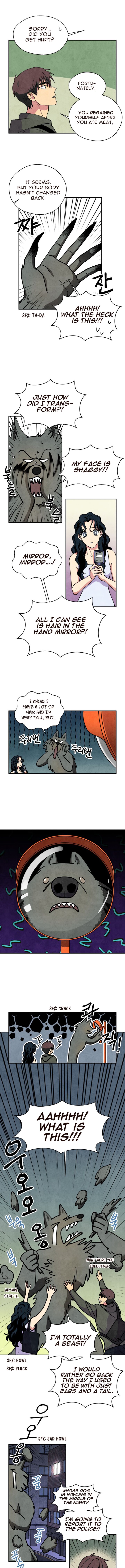 The Little Red Riding Hood 23 3