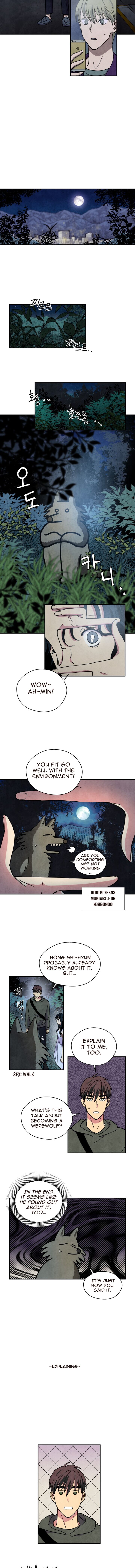 The Little Red Riding Hood 23 5