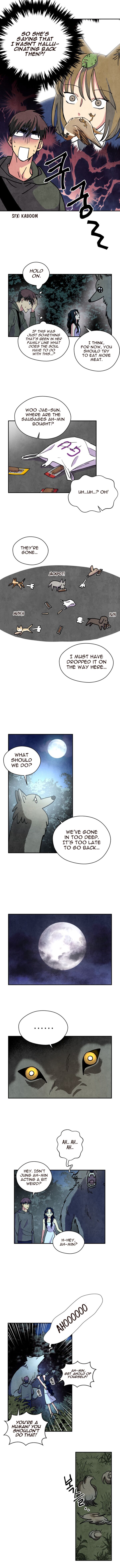 The Little Red Riding Hood 23 6