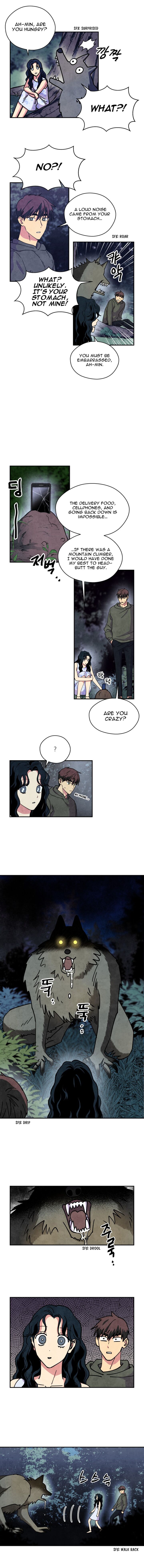 The Little Red Riding Hood 24 2