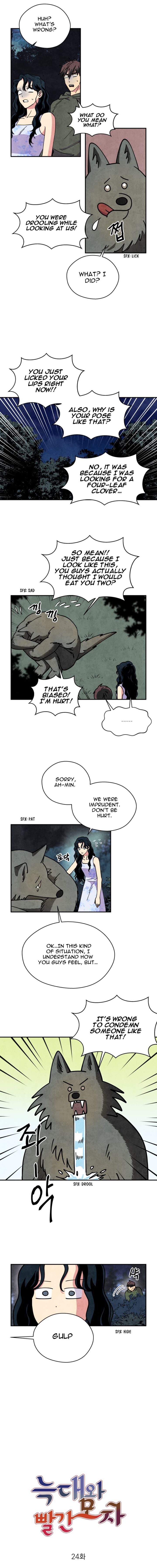 The Little Red Riding Hood 24 3