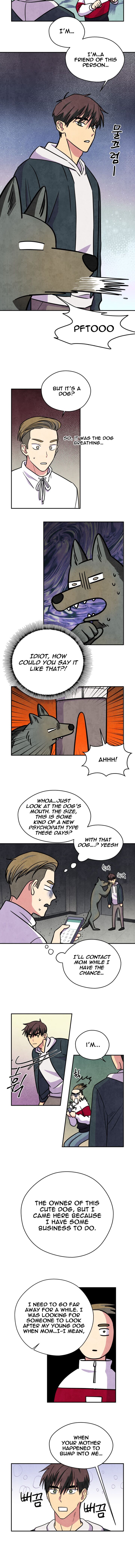The Little Red Riding Hood 30 3