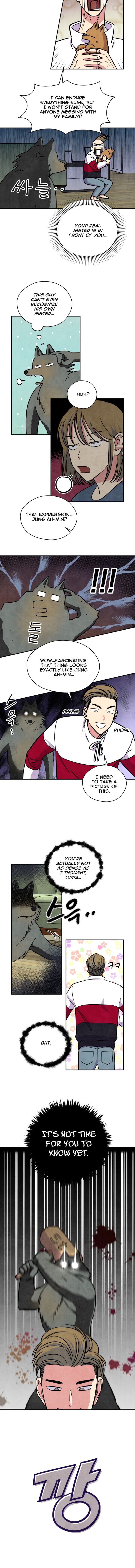 The Little Red Riding Hood 32 2