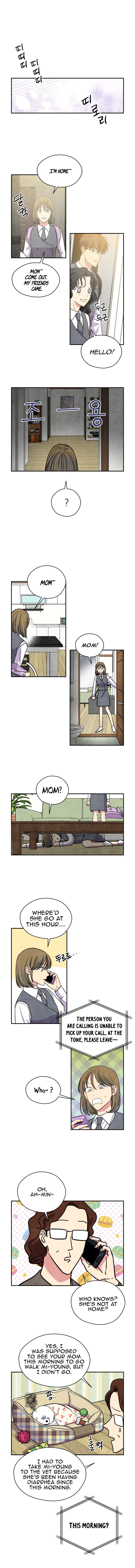 The Little Red Riding Hood 33 2