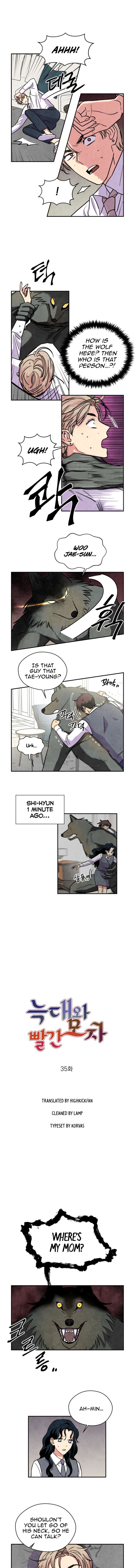 The Little Red Riding Hood 35 1