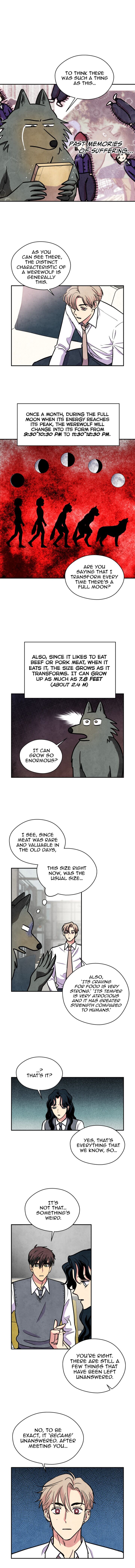 The Little Red Riding Hood 36 3