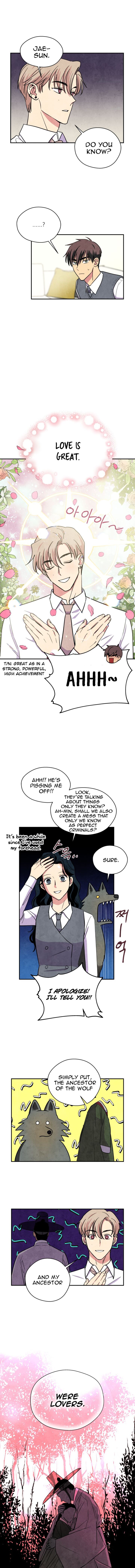 The Little Red Riding Hood 37 4